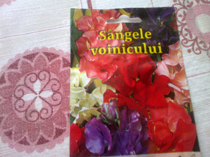 sangele voinicului