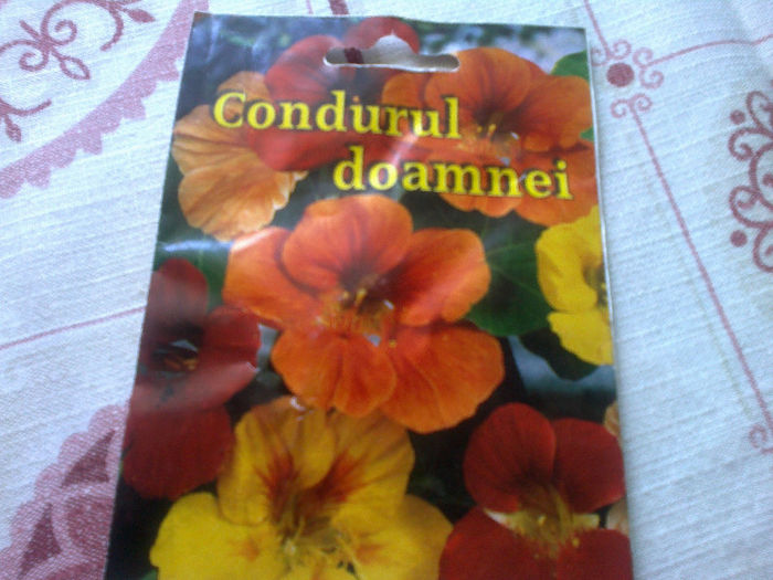 condurul doamnei