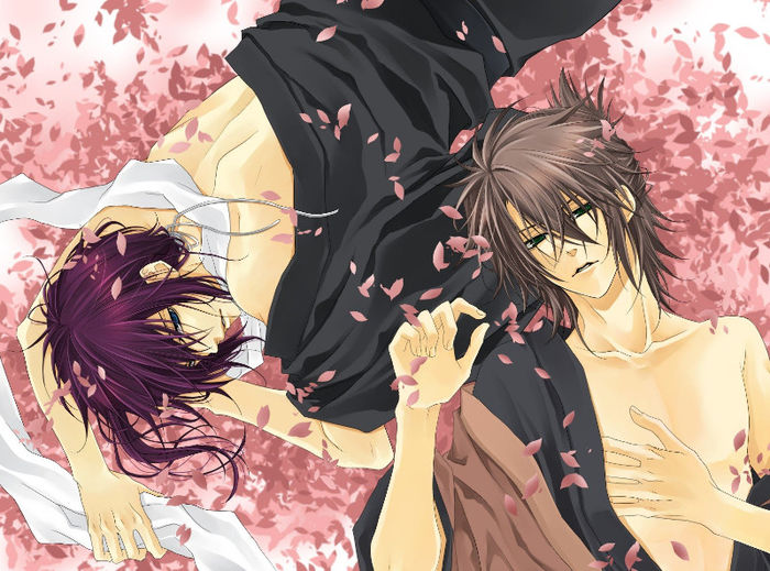 Hakuouki.Shinsengumi.Kitan.full.166021 - Hakuouki