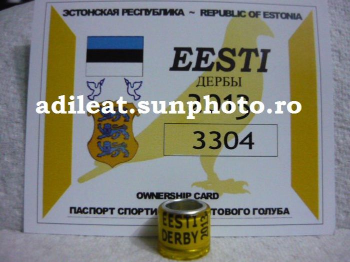 ESTONIA-2013-DERBY