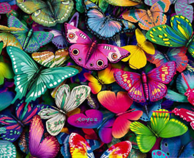 butterflies_collection_1a