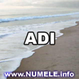 006-ADI av cu nume