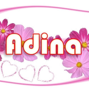 Avatar cu nume Adina