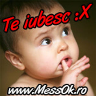 TeIubesc( www.MessOk.ro )