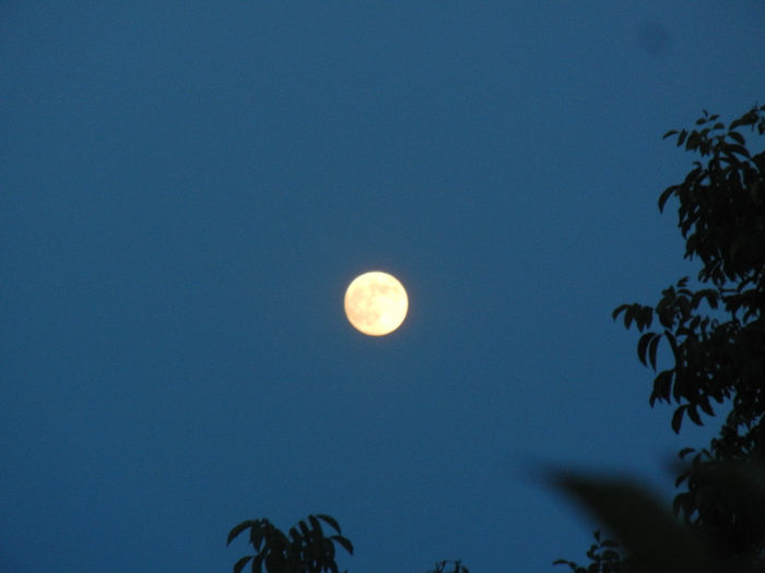 Beautiful Moon (2013, June 22, 9.17 PM)