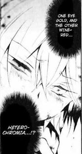 vincent 41 - Pandora hearts manga 2