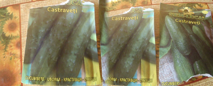 CASTRAVETI - ANUL  2013