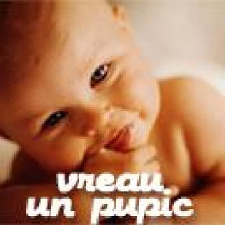 vreau-un-pupic-1_de96ac2f028814