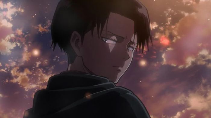 levi 4