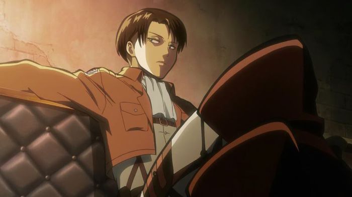 levi 8