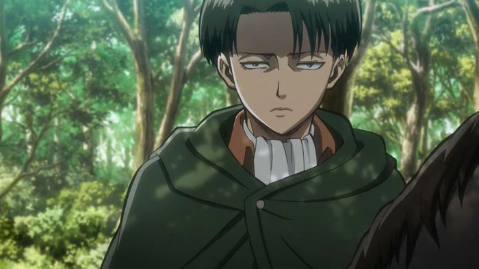 levi 9