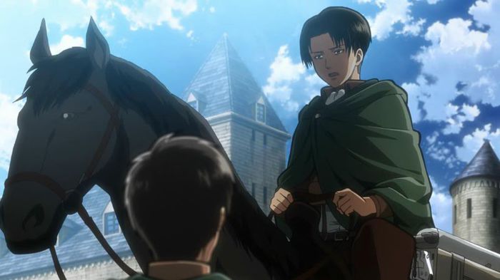 levi 12