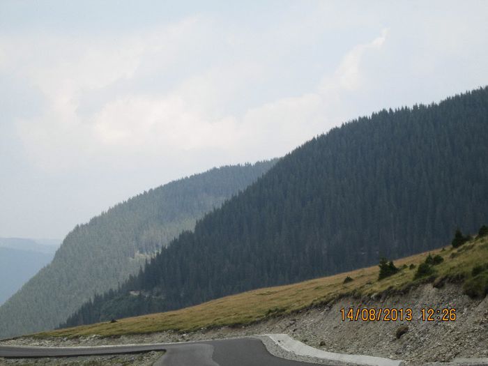 IMG_7697 - Transalpina 2013