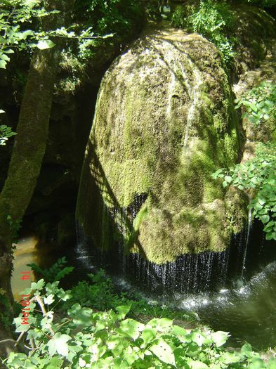 Picture 5 - cascada bigar