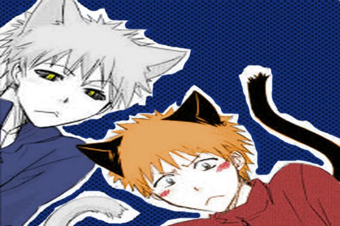 hichigo_x_ichigo_nekos