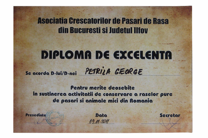 Diploma