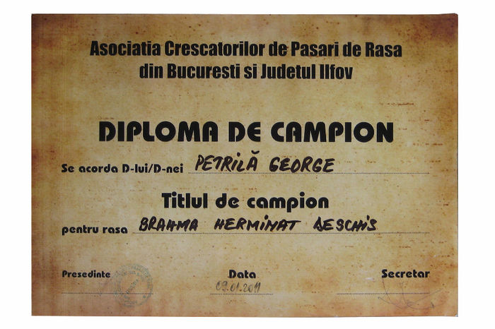 Diploma