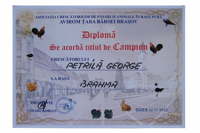 Diploma