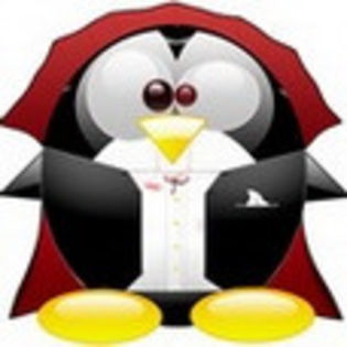 linux573 - www.avatareselecte.com