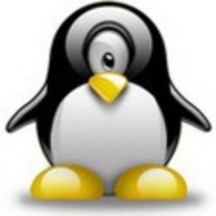 linux576 - www.avatareselecte.com