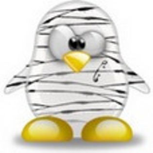 linux295 - www.avatareselecte.com