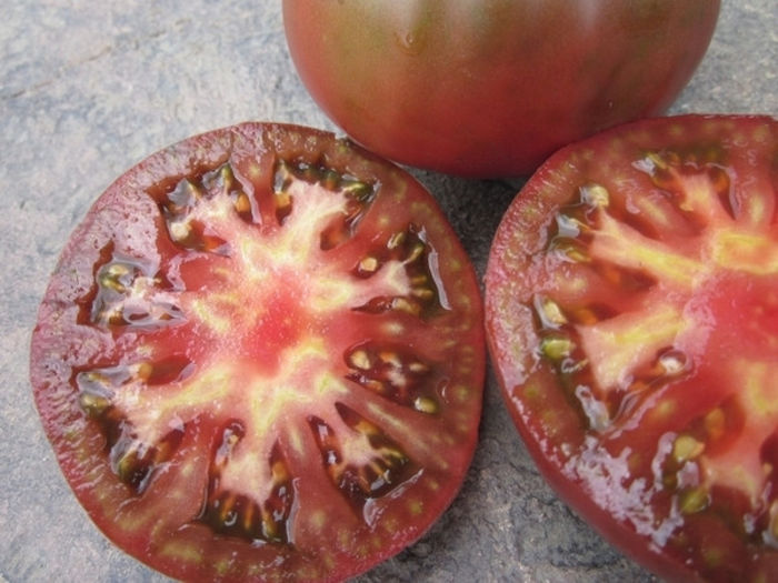 tomate black krim