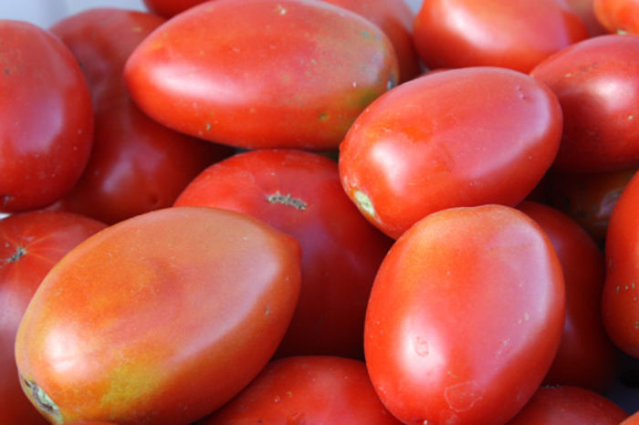 tomate prunisoara