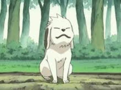 images (49) - Akamaru