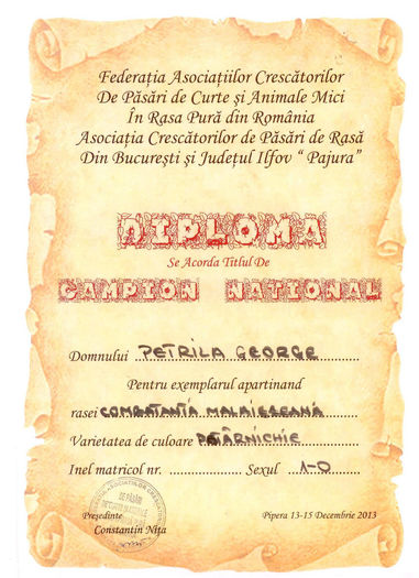 Diploma Combatanta malaiezeana potarniche