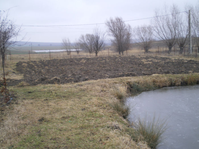 Picture 053; Terenul arat pregstit pentru extinderea plantatiei de mure
