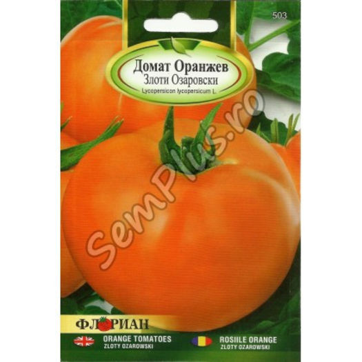tomato orange