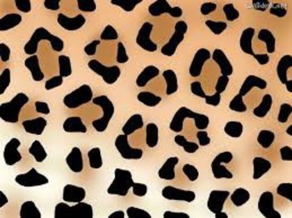 images (3) - Animal print