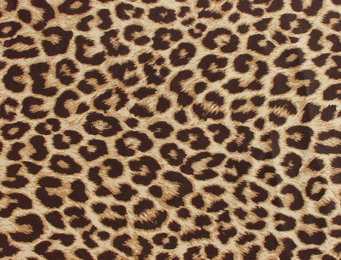 zebra-print-cheetah-leopard-giraffe-animal-posters-th-purple-253743 - Animal print