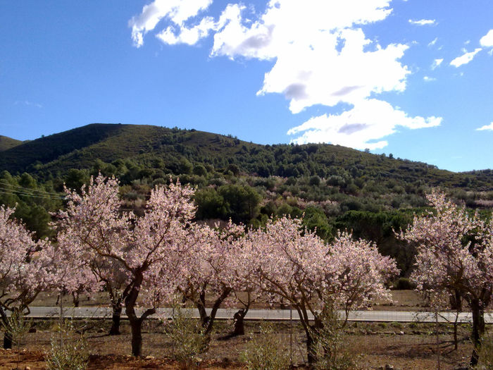 relaxare....in fata casei - 1  La munte-locul nostru de relaxare