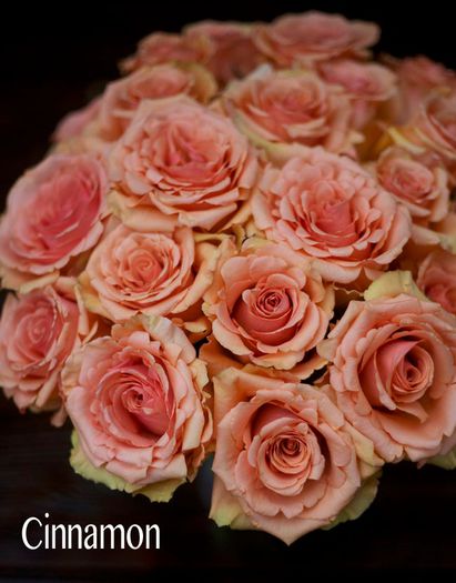Cinnamon_Peach_Roses - Trandafiri cu petale serate si ondulate