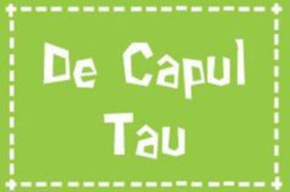 7 - De capul tau - Cum se face un peste origami