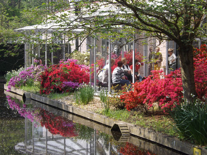 DSCF1640 - Keukenhof