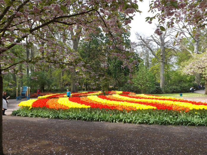 DSCF1818 - Keukenhof