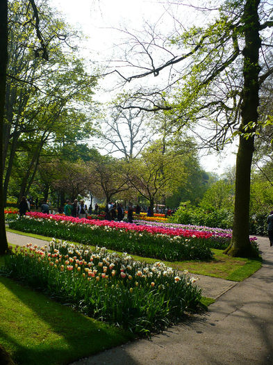 P1140434 - Keukenhof