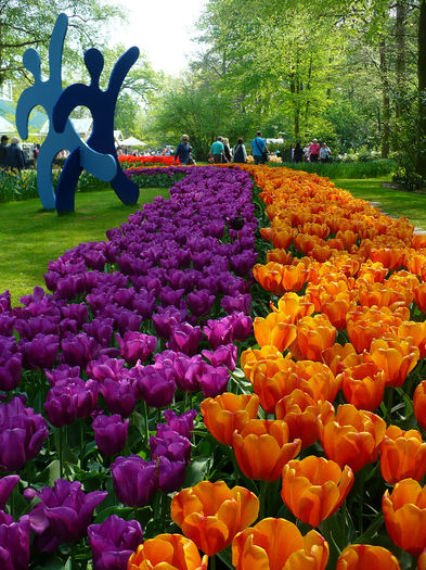 P1140436 - Keukenhof