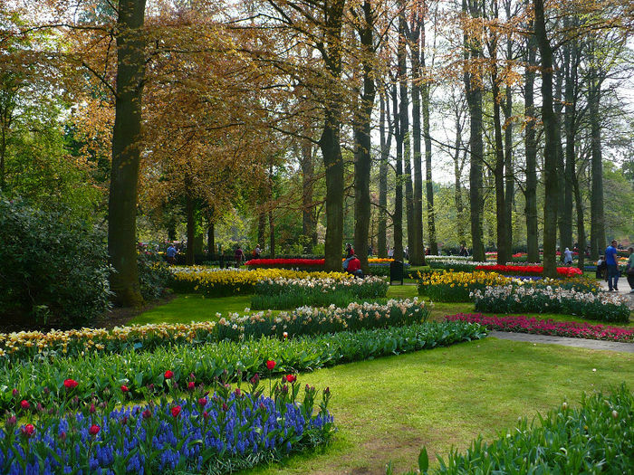 P1140519 - Keukenhof