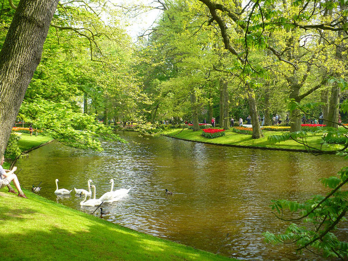 P1140536 - Keukenhof