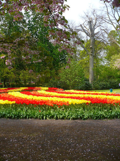 P1140552 - Keukenhof