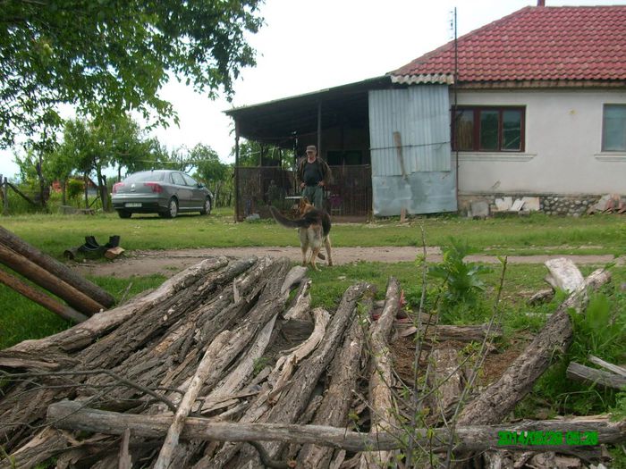 Casa Familiei Vucea