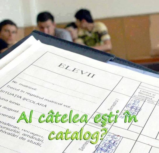 10262228_607766309321737_8482349039655957494_n - Al catelea esti la catalog