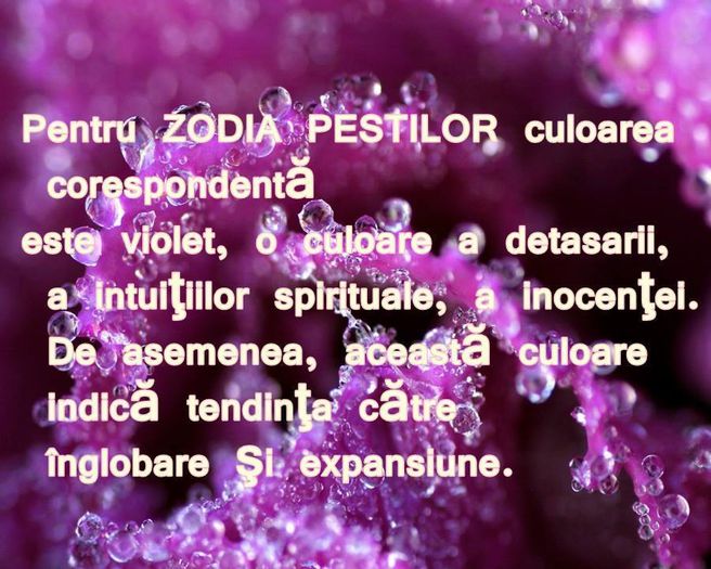 10481398_465654116871388_7257411919008987302_n - x Zodiile si culorile