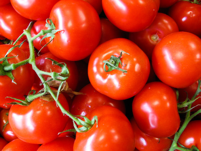 GIANT Italian Tomatoes - rosii gigant; Growing massive Tomatoes-Italian Tree Tomato-copacul italan - Fact or Fiction. .
fapt sau fictiune

https://www.youtube.com/watch?v=EFNkEvwZ8hw

# 3 in our tomato series is the Italian Tree Tomat
