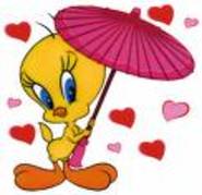 images[7] - Poze TWEETY