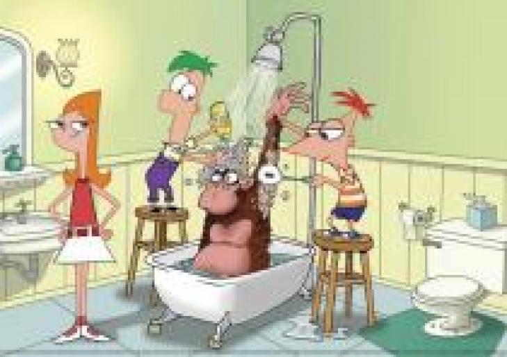 RDKPDMQAWBTHTFPOZDG - poze phineas si ferb