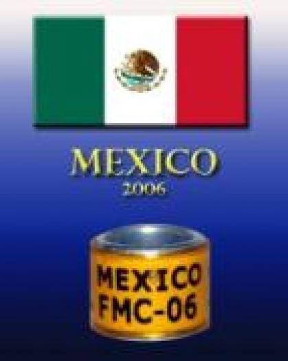 MEXIC 2006